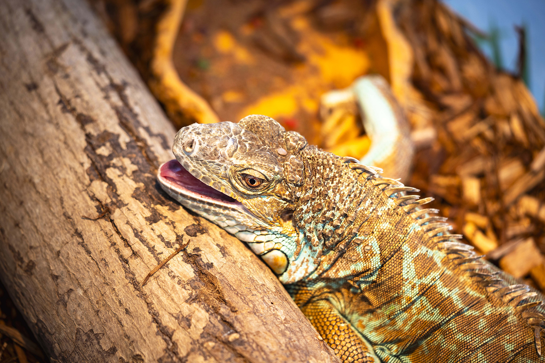 DSC04598_1.jpg DSC04598_1.jpg